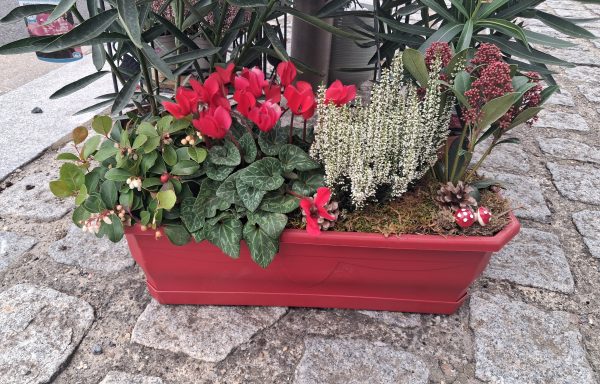 Jardinière du fleuriste